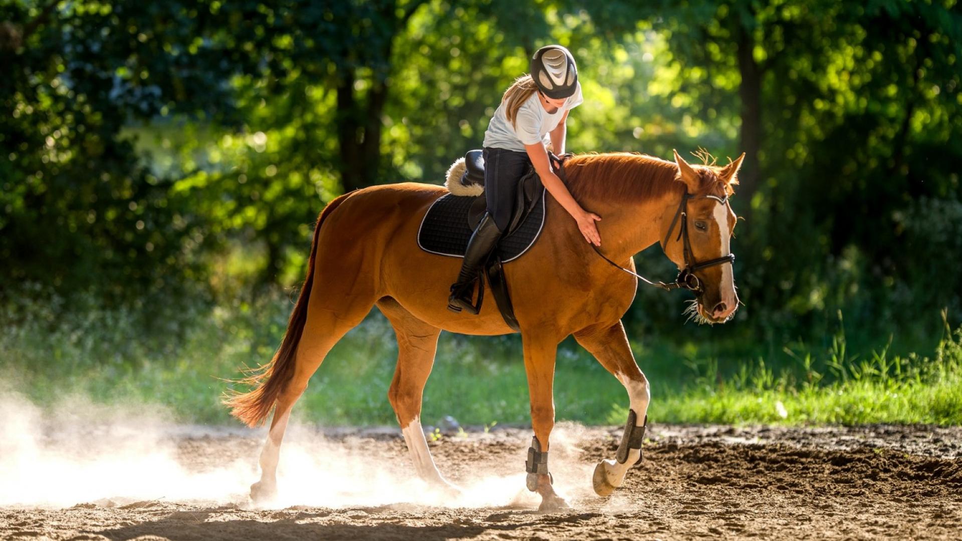 Débuter en équitation : comment s’y prendre ?