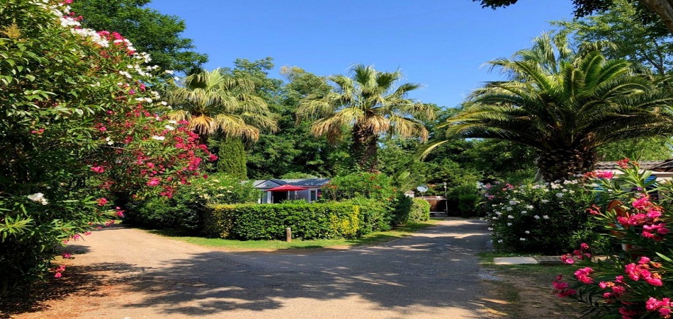 Camping à Argelès-sur-Mer : comment le réussir ?